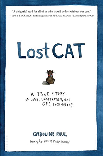 Cover of Lost Cat