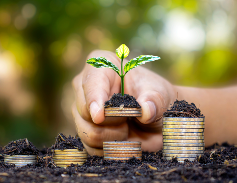 Stacks of coins with plants on them