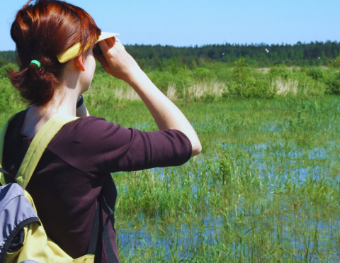 Picture of woman using binoculars to bird watch 