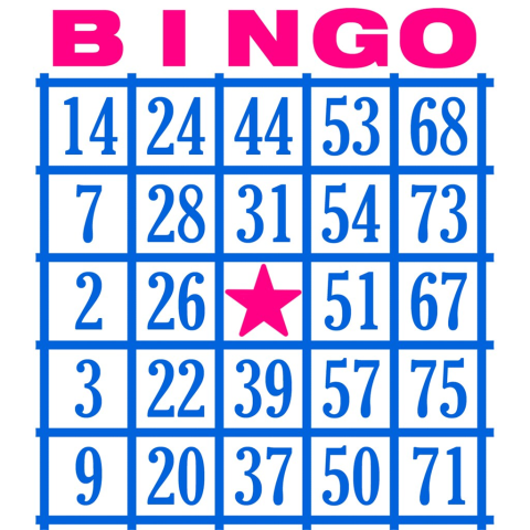 Bingo board in pink and blue