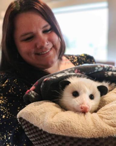 Photo of woman holding an opossum in wrapped in a blanket