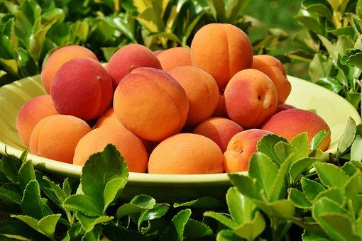 bowl of peaches