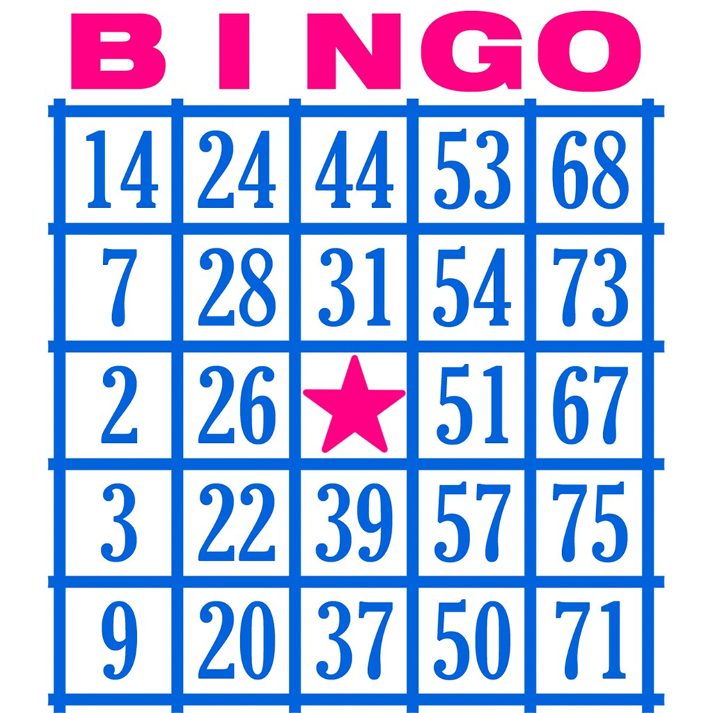 Bingo board in blue and pink