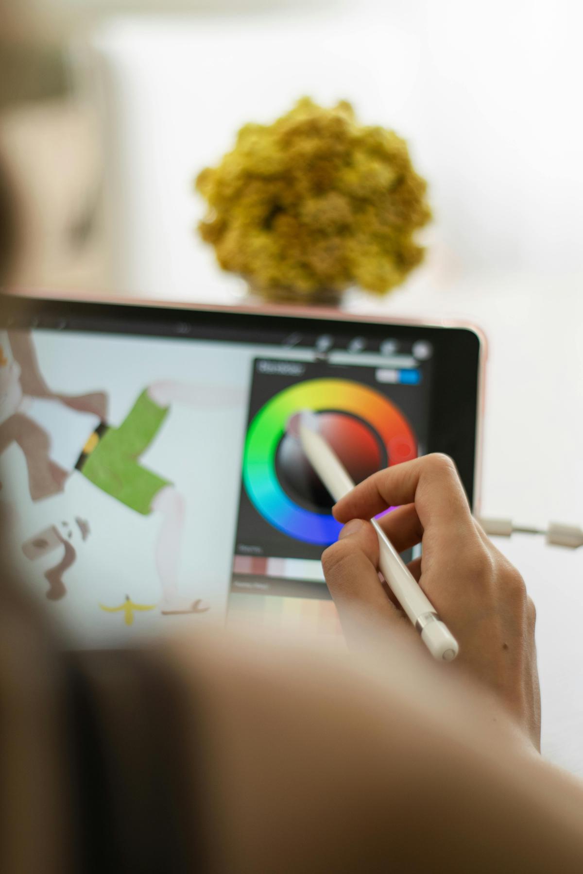 Person using procreate on iPad